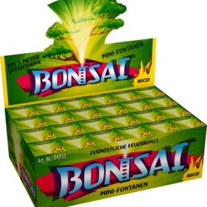 Bonsai Fontaine (NICO)