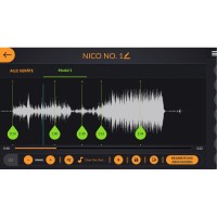 FireFly Plus 15 Kanal Funk-Zündsystem (NICO) – Bild 4