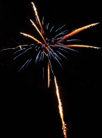 Golden Spider 13 Schuss (NICO) – Bild 2