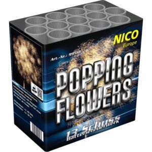 Popping Flowers 13 Schuss (NICO)