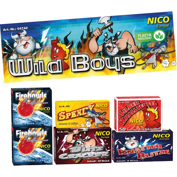Wild Boys (NICO)